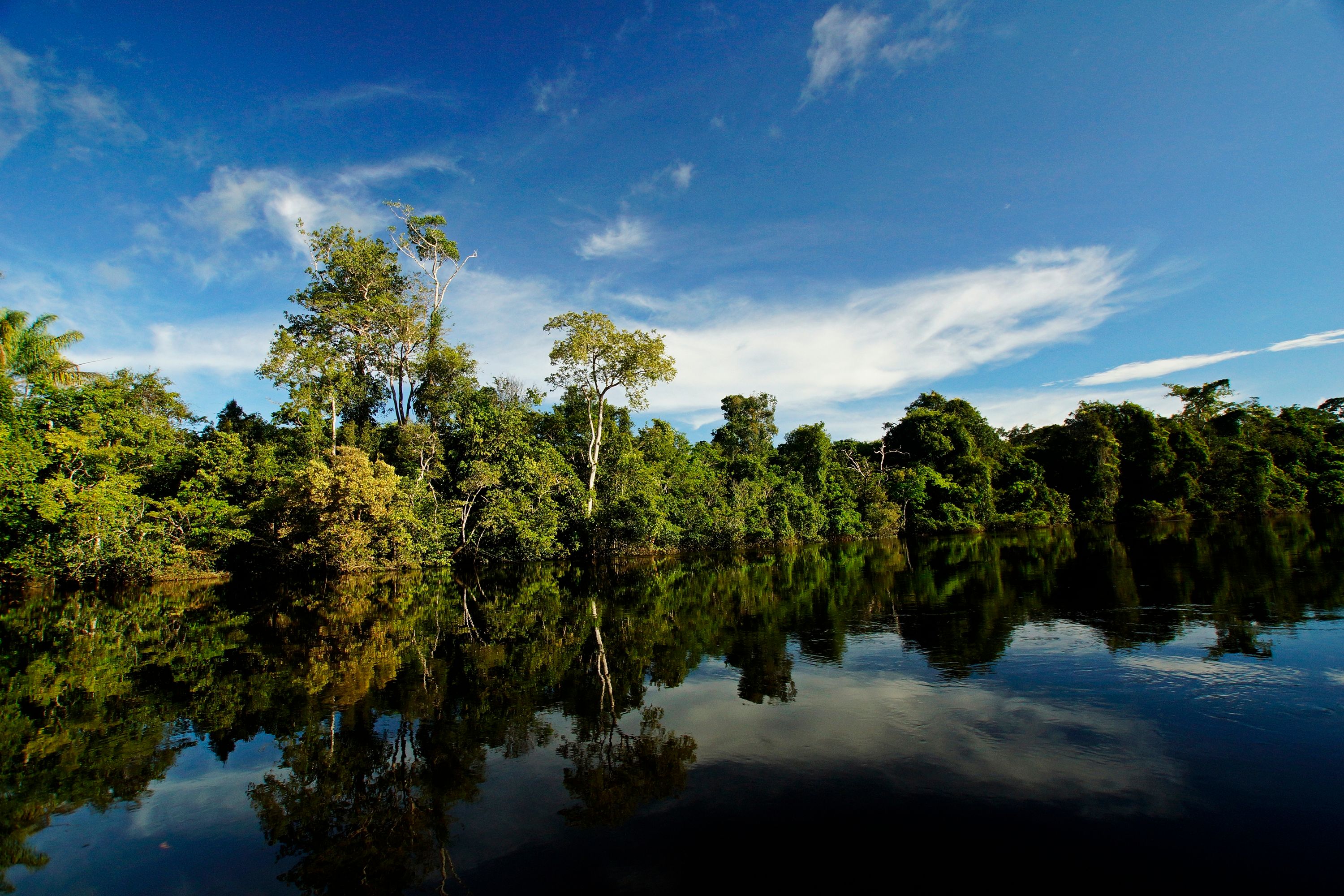 Les essentiels à emporter pour un séjour en carbet en Guyane