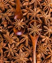 Directly Above Shot of Dried Decoration