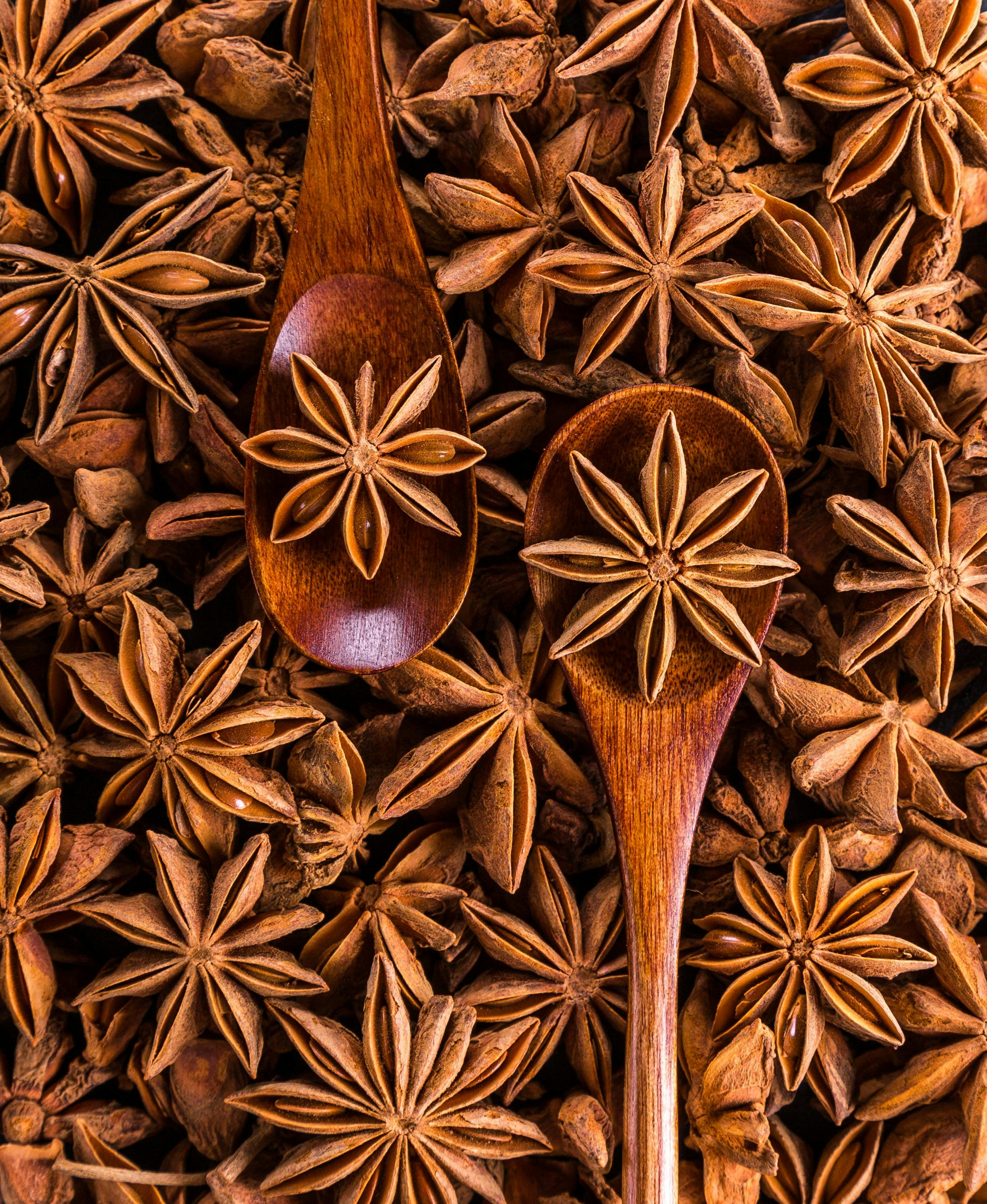 Free stock photo of anis, anis-estrelado, aroma