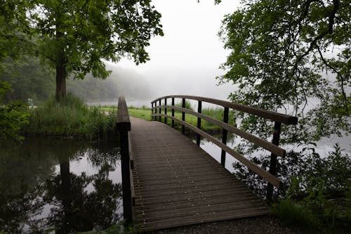 Ilmainen kuvapankkikuva tunnisteilla allas, järvi, joki