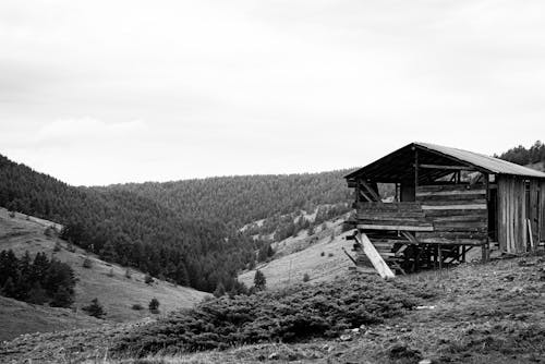 Ingyenes stockfotó domb, elhagyatott, elhagyatott ház témában