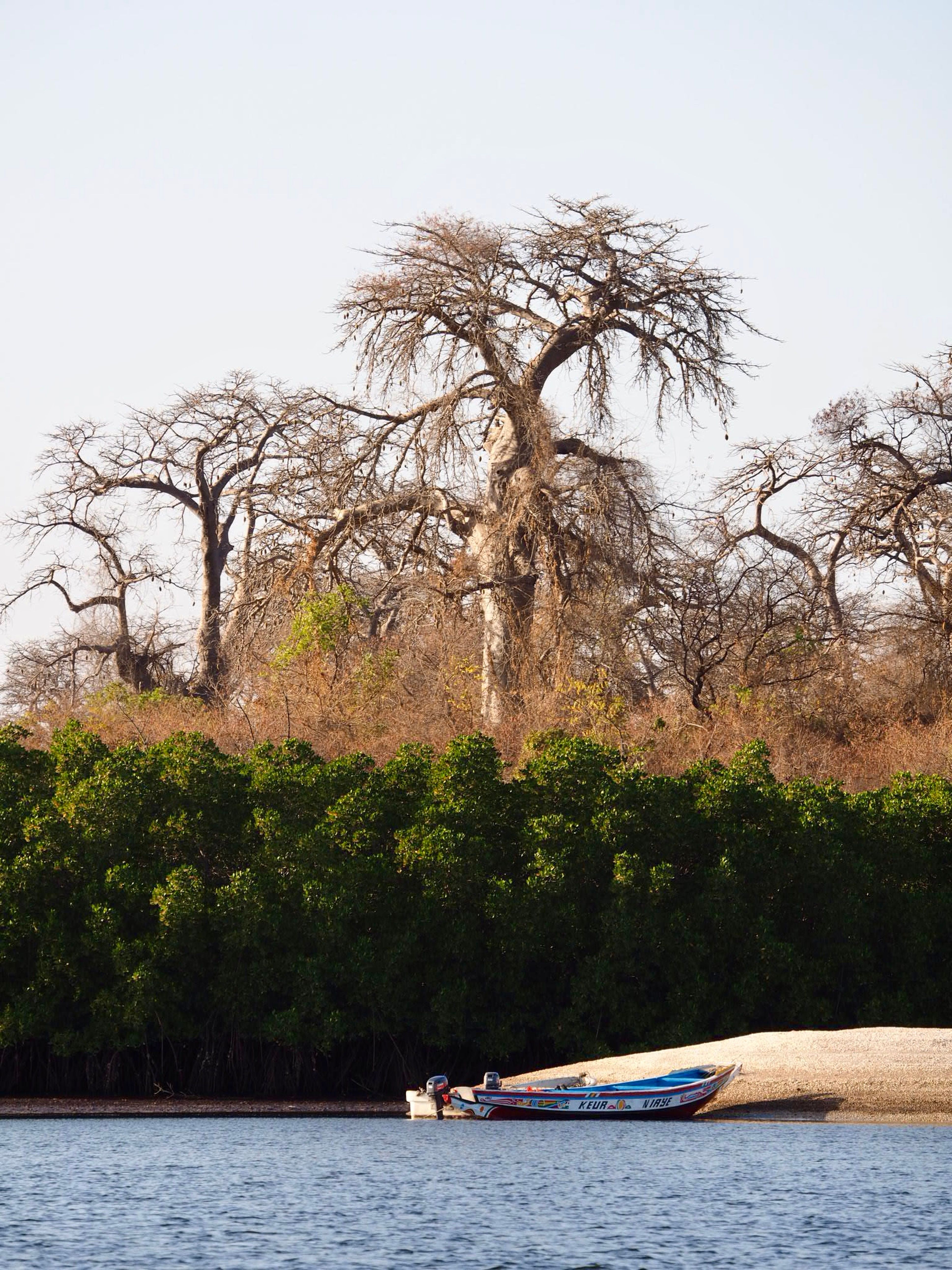 No puedes creer este descuento de vuelos a Tanzania por solo 851€