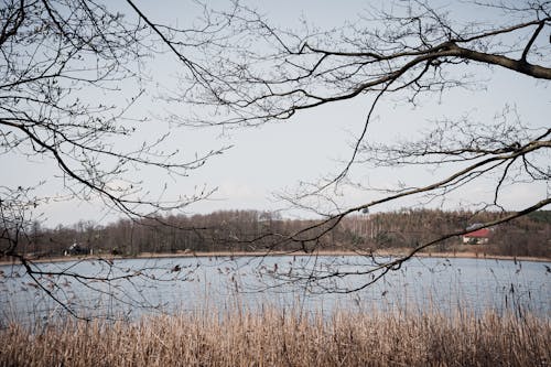 Darmowe zdjęcie z galerii z Lake, landscape, sky