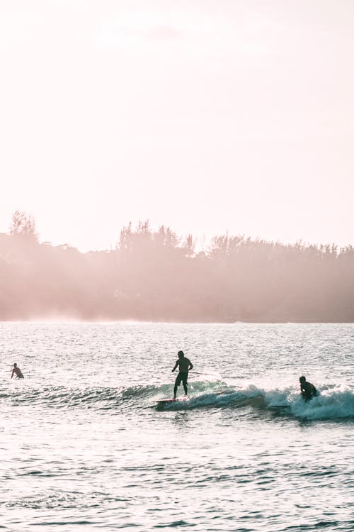 Sörf Tahtası Binen İnsanların Fotoğrafı