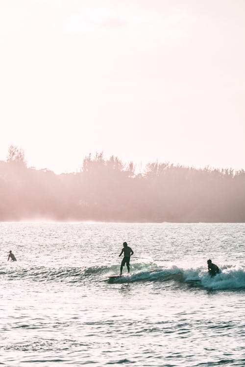 Foto De Personas Montando Tabla De Surf