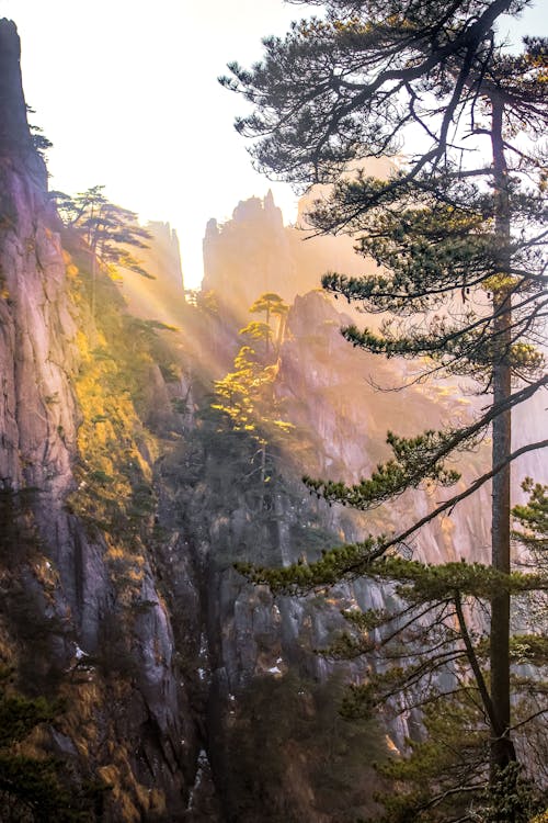 Foto d'estoc gratuïta de arbre, capvespre, erosionat