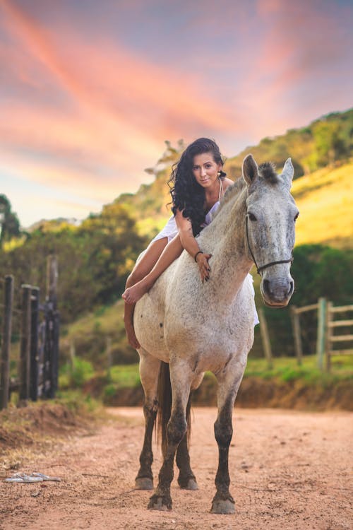 Základová fotografie zdarma na téma farma, kůň, venkovský