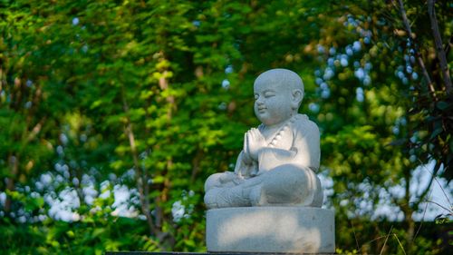 Free Peaceful Buddha statue surrounded by vibrant green foliage in a tranquil park setting. Stock Photo