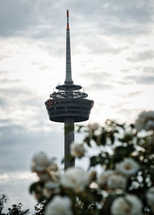 Free Colonius Telekom Tower framed with flowers under a cloudy sky, Cologne, Germany. Stock Photo