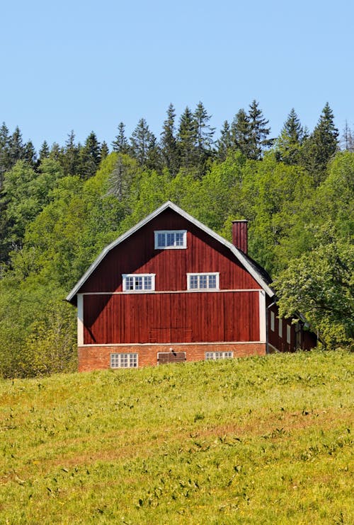 Foto profissional grátis de agricultura, ao ar livre, arquitetura