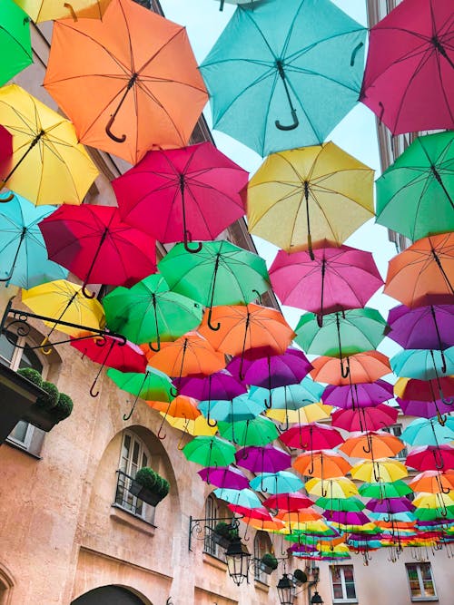 Фотография разноцветных зонтов, висящих возле здания