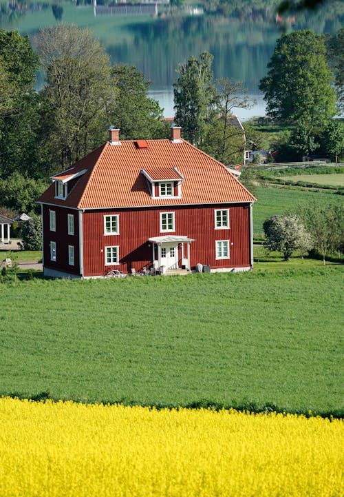 Foto profissional grátis de agricultura, ao ar livre, área