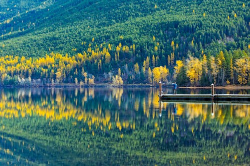 Free Reflection of Trees in Lake Stock Photo
