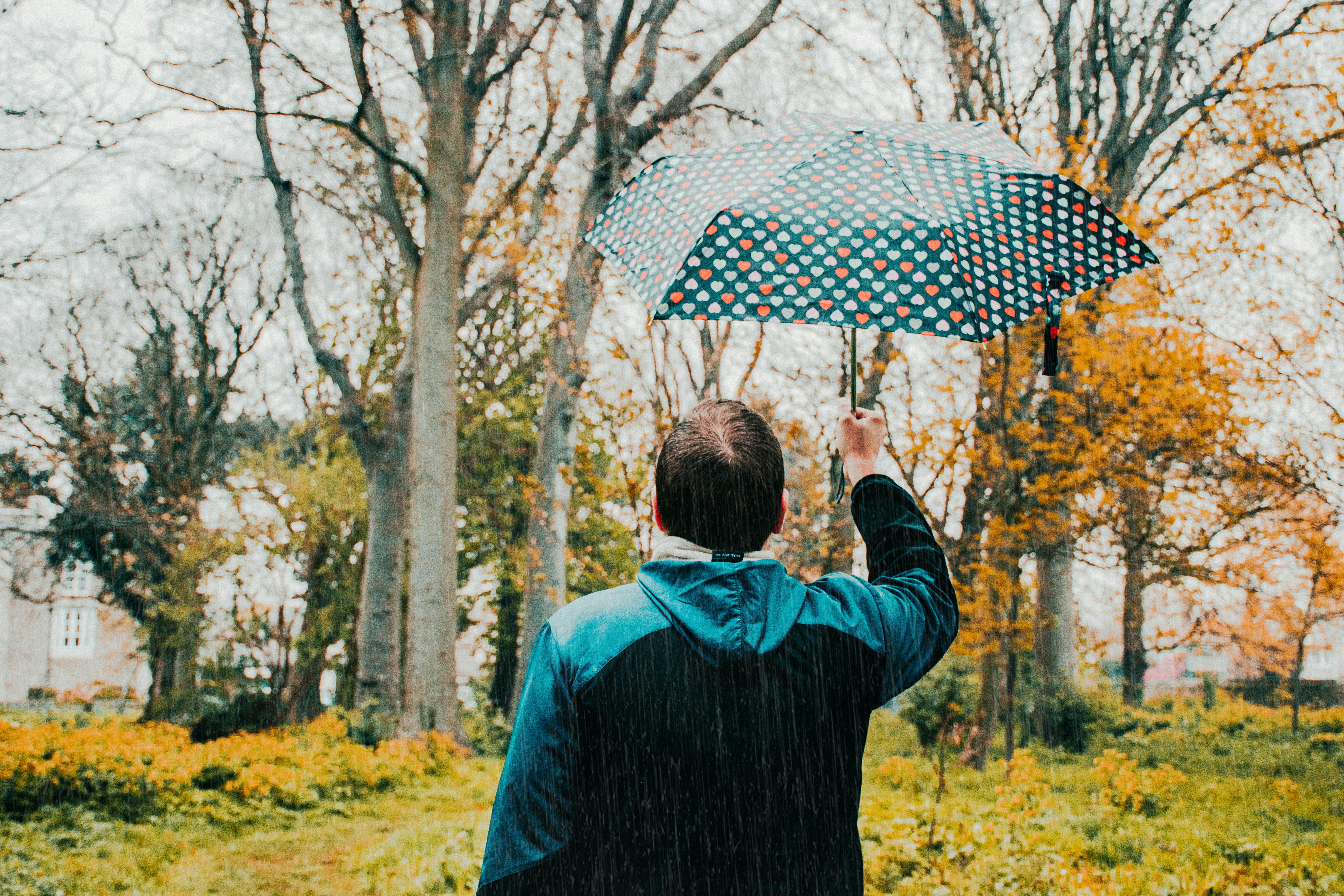 Stand Under My Umbrella · Pexels
