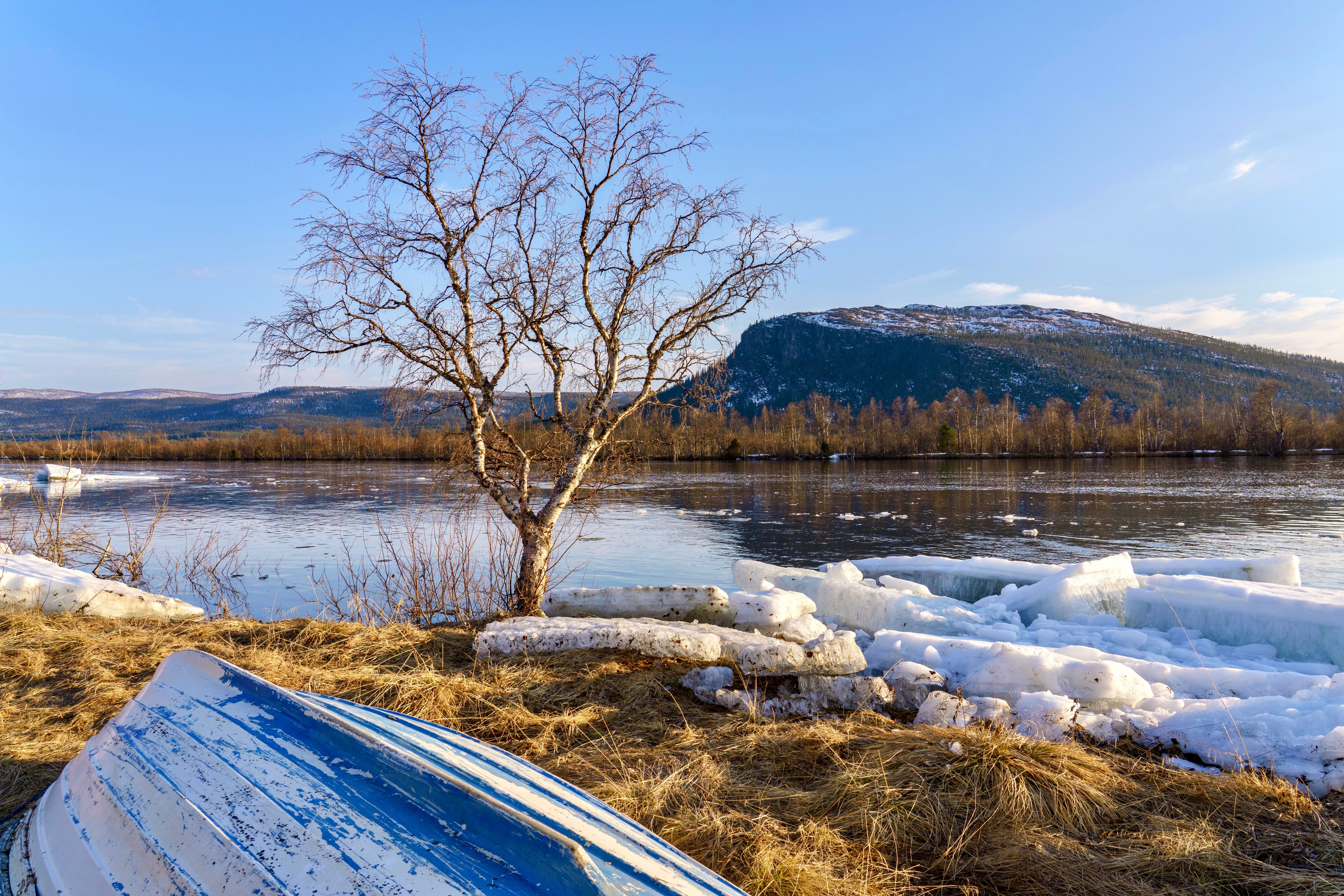 Shrink-Wrapping vs Indoor Storage: The Real Cost of Wintering a Boat