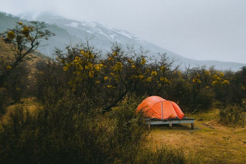 Free Photo of Tent Surrounded by Plants Stock Photo