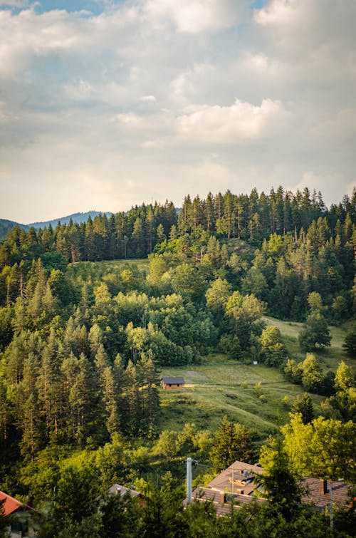Olovo Landscape