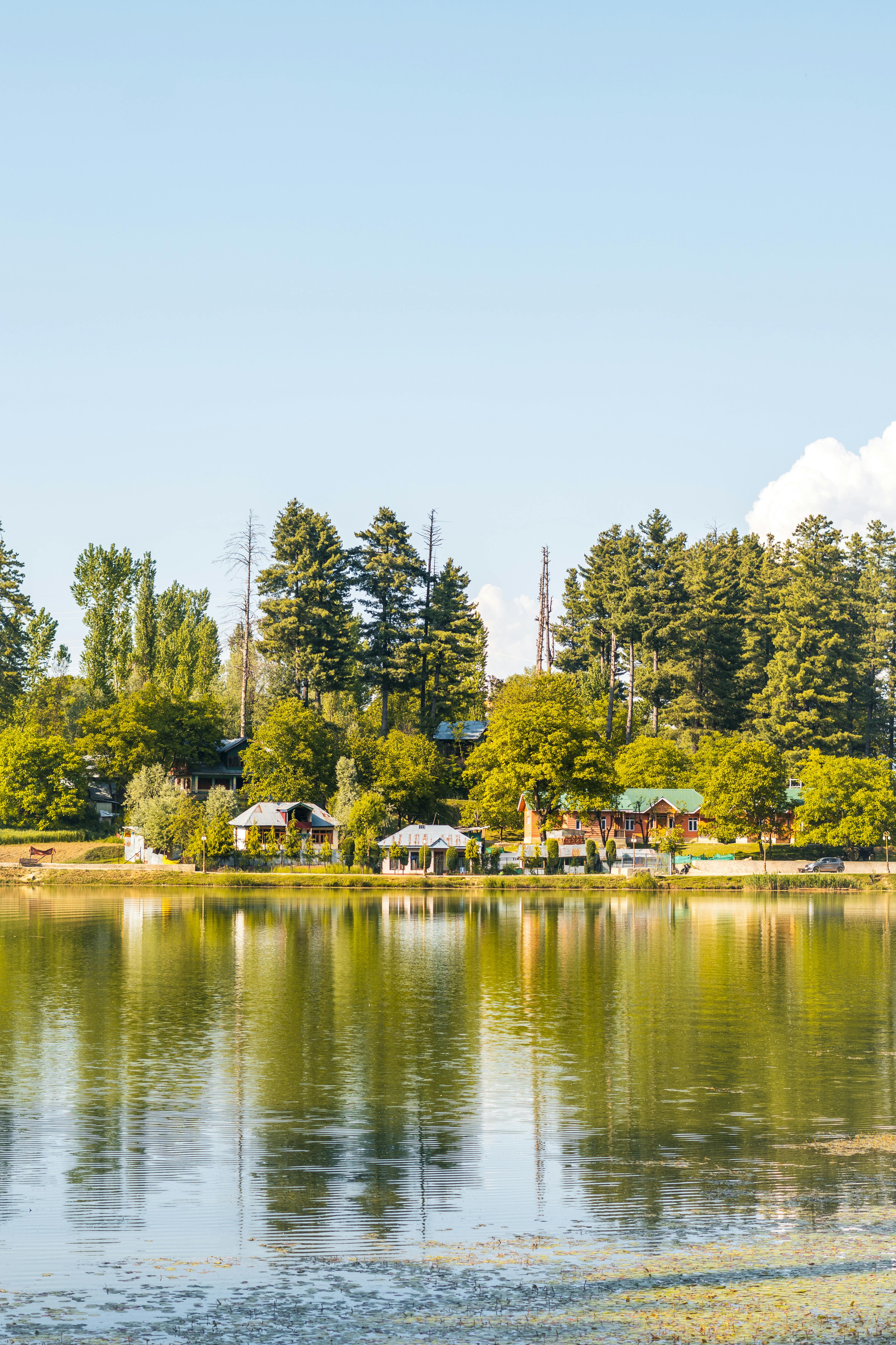 Peaceful lakeside view in Srinagar with reflection of trees and houses on a sunny summer day.