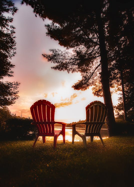 Free Chairs on Table Against Trees during Sunset Stock Photo