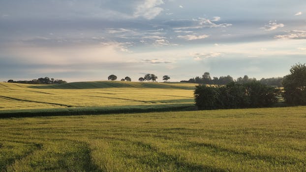 Idyllic rural landscape in Grömitz, Germany with rolling fields and trees under a blue sky.