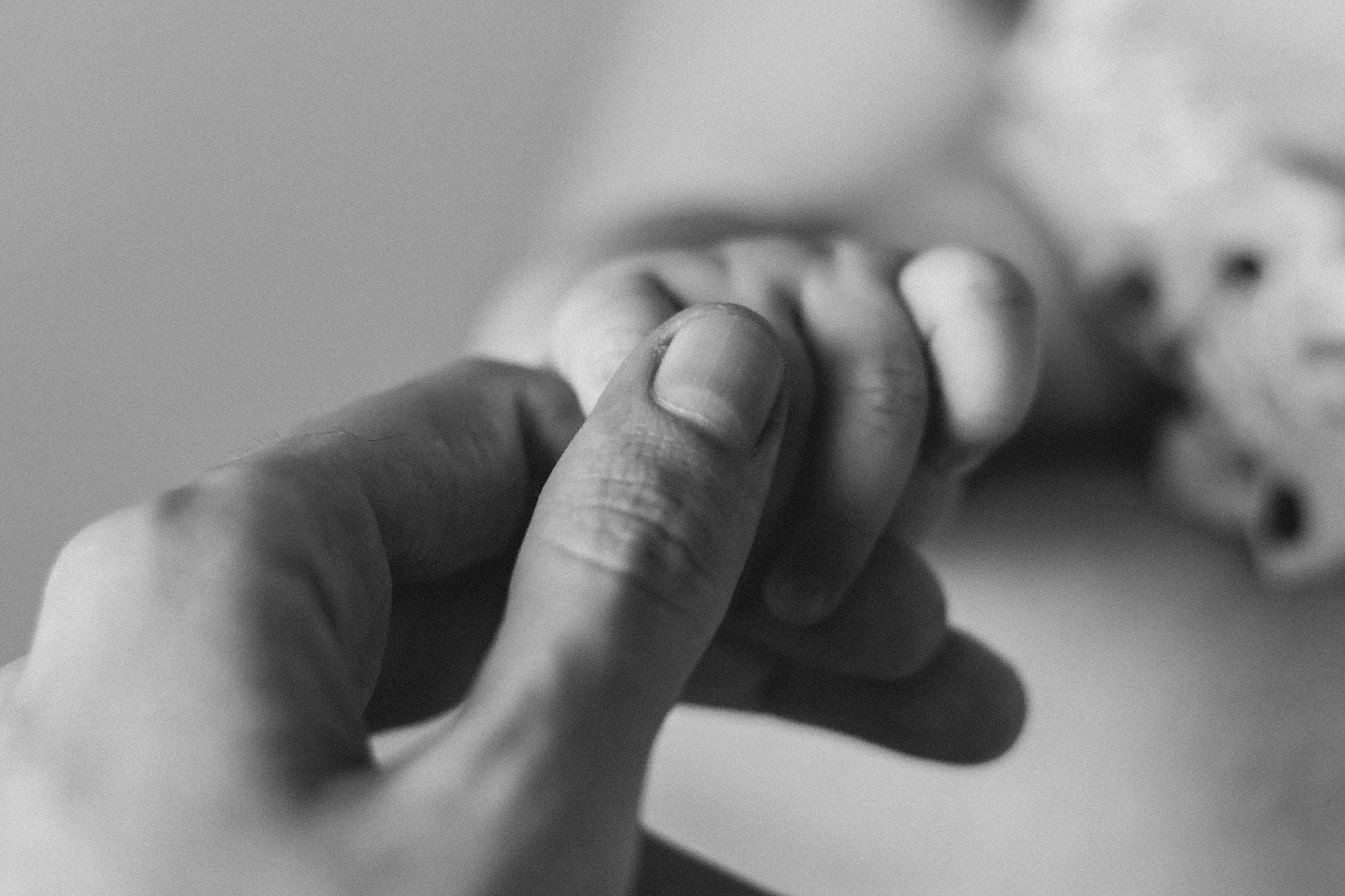 Soft touch. · Free Stock Photo