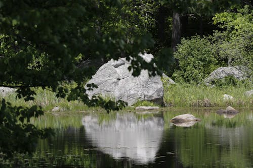 Ilmainen kuvapankkikuva tunnisteilla järvi, kallio, kesä