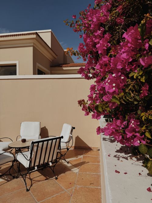 Free Sunny terrace adorned with lush bougainvillea, featuring elegant outdoor seating for leisure and relaxation. Stock Photo