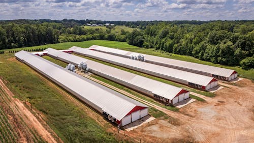 Gratis stockfoto met architectuur, boerderij, boom