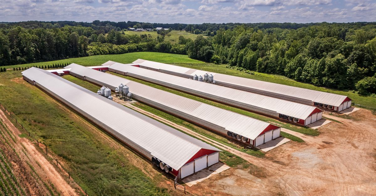 Com Farm Rural Landscape with a Farm · Free Stock Photo