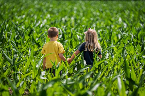 Fotobanka s bezplatnými fotkami na tému dedinský, exteriéry, farma