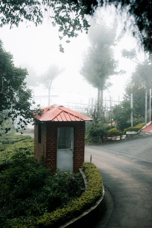 Foggy hut