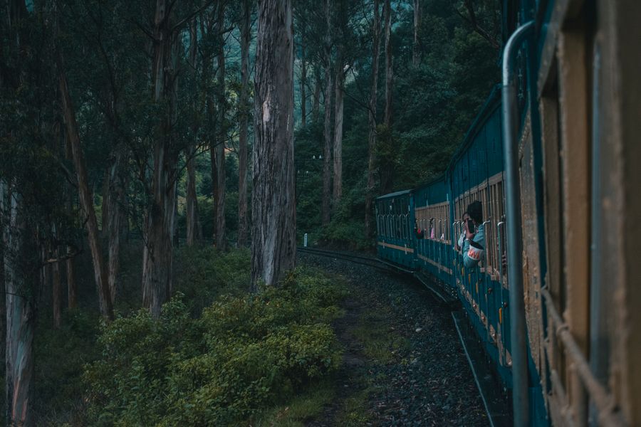 Explore the lush forests of India with a scenic train journey through the heart of Mysuru.