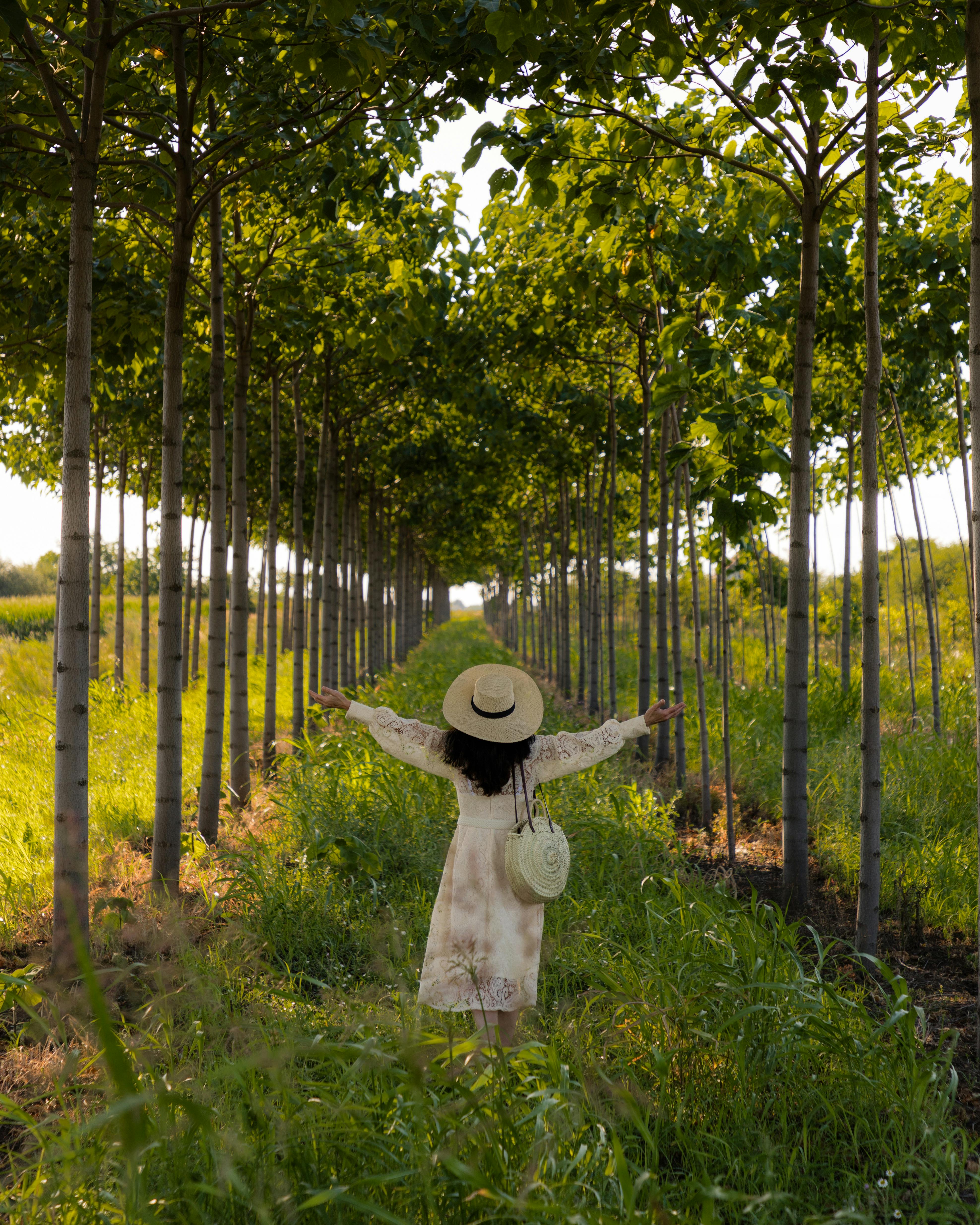 A serene scene of a woman embracing nature in a lush, sunlit forest in Serbia.