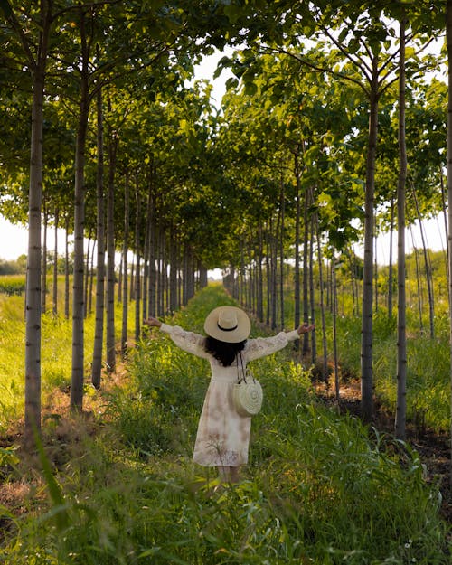 Foto d'estoc gratuïta de a l'aire lliure, agricultura, amants dels arbres