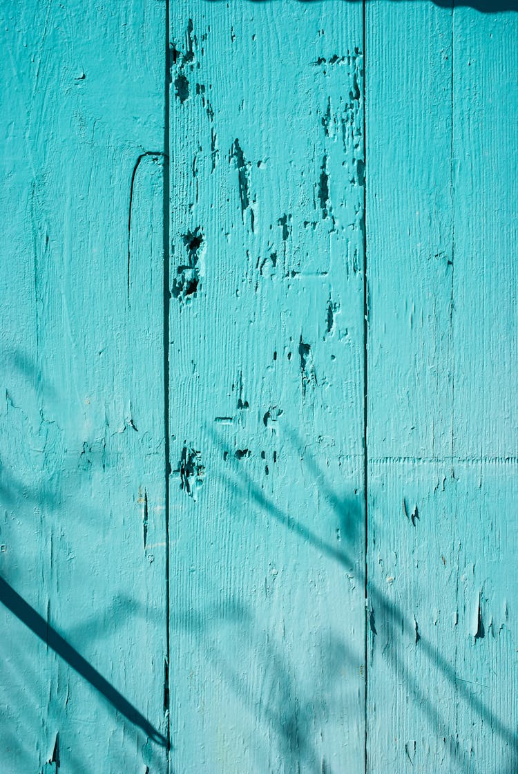 Teal Painted Wooden Wall
