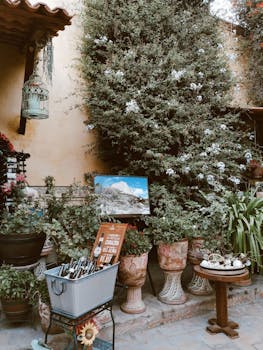 A quaint garden in Santiago de Querétaro featuring plants, art, and decor.