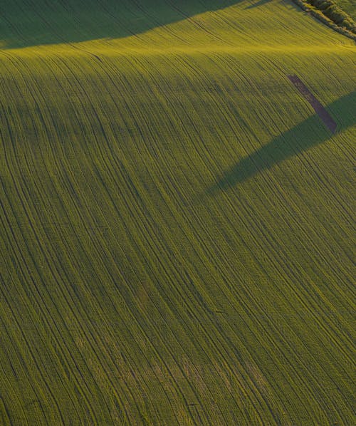 Fotos de stock gratuitas de abstracto, agricultura, campo