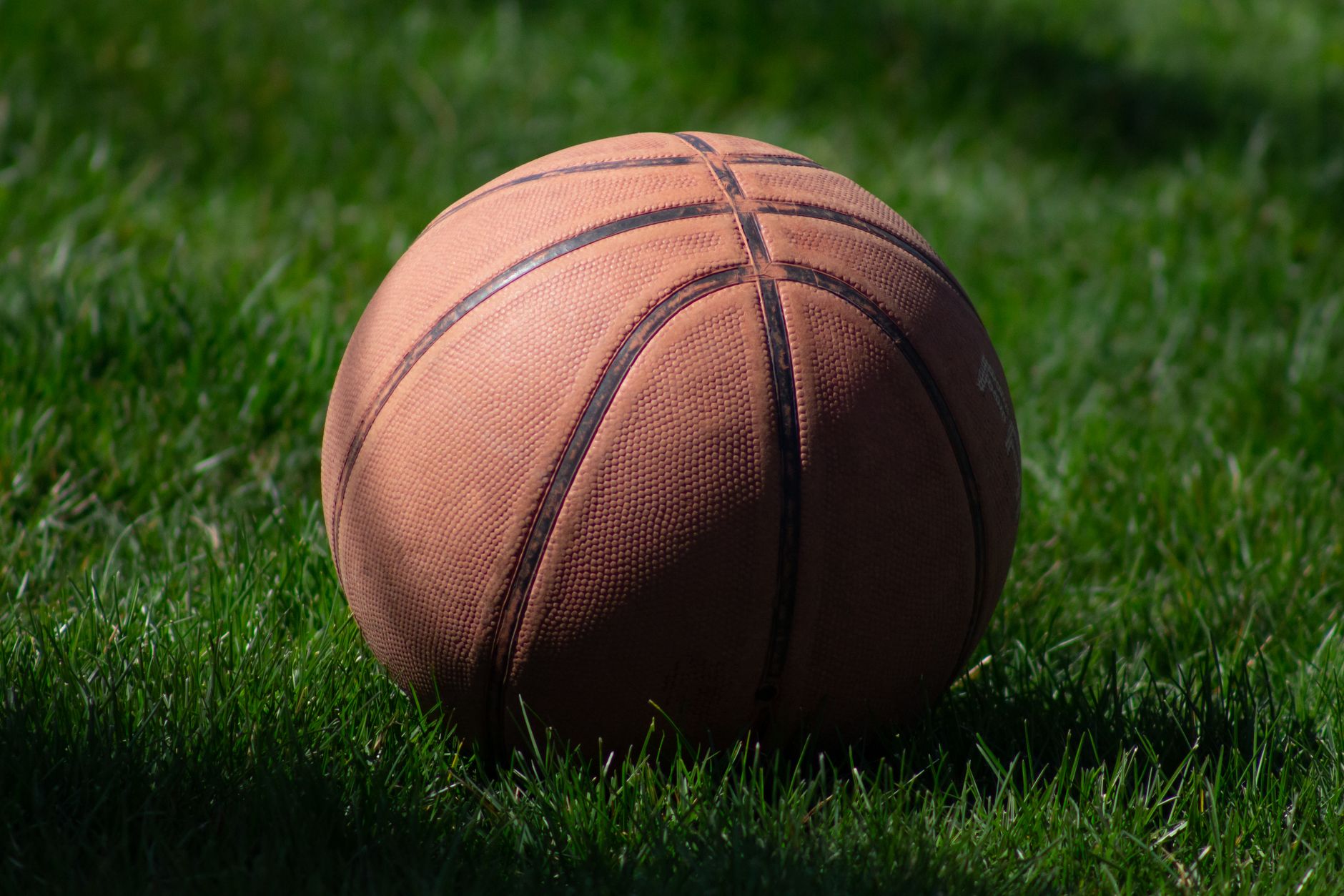 Close-up of a basketball resting on lush green grass, highlighting sports and recreation.
