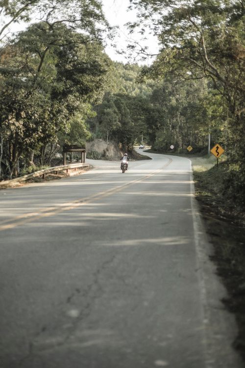 Free A motorcyclist rides through a winding road surrounded by lush forest, offering a scenic outdoor adventure. Stock Photo