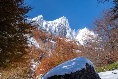 Darmowe zdjęcie z galerii z duże drzewa, duże opady śniegu, góry