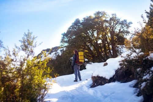 Free A person hiking through a snowy trail in El Bolsón, Argentina, surrounded by trees under a blue sky. Stock Photo