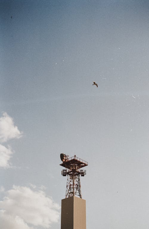 Darmowe zdjęcie z galerii z akcja, antena, błękitne niebo
