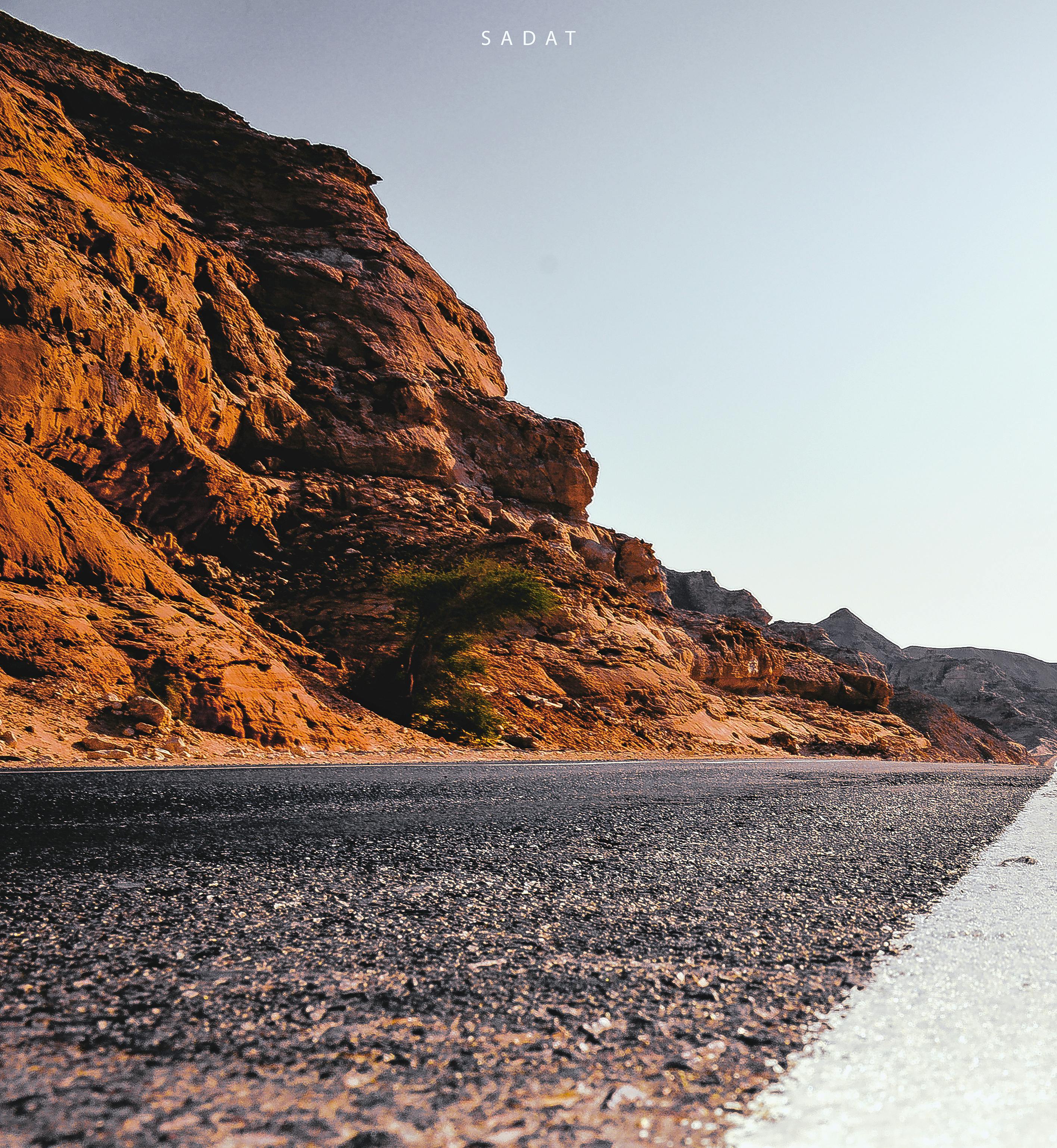 Wildlife Control: Rockland County