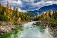 探索流经秋季森林的河流，感受山间充满活力的宁静之美