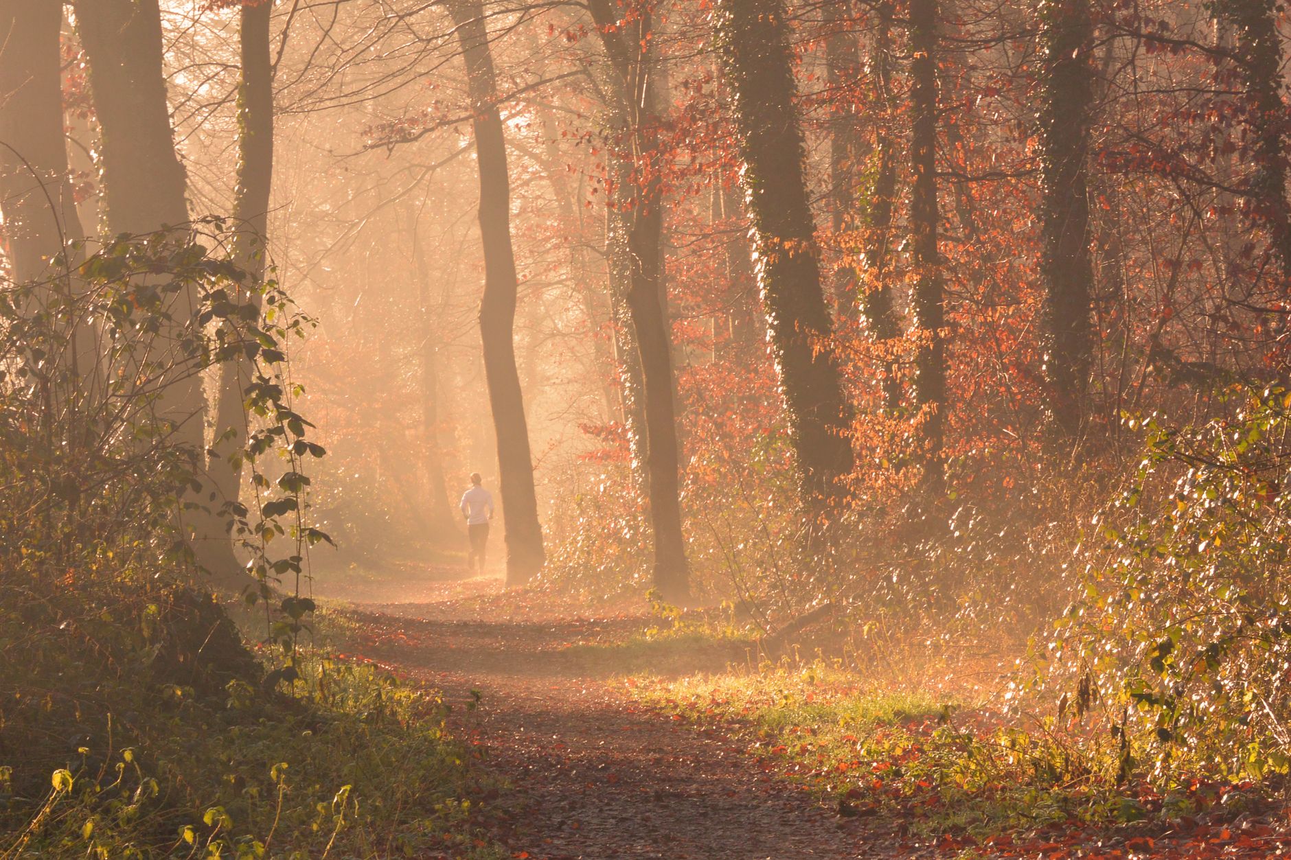 When You Feel Like Giving Up: A Practical Guide to Keeping Going
