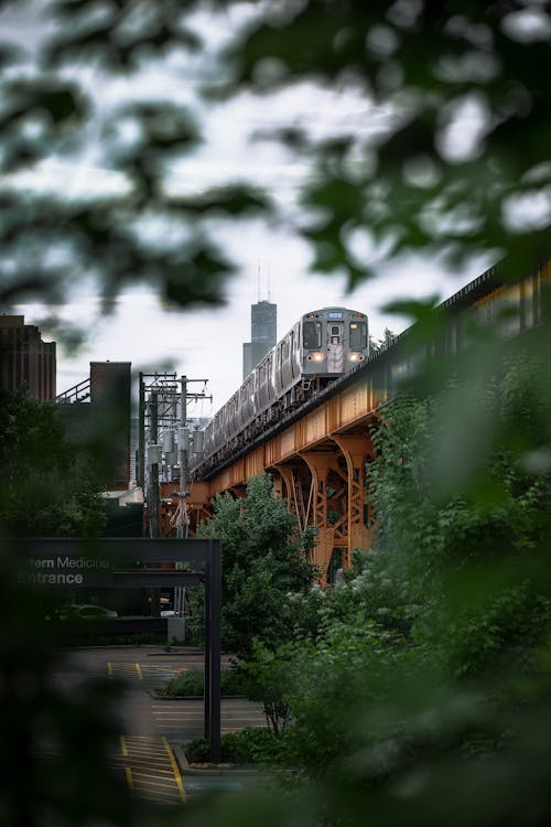Základová fotografie zdarma na téma chicago, dopravní systém, hloubka ostrosti