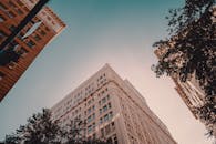 晴朗的天空下，环绕着树木的城市里，一座摩天大楼的低角度视图，展示了现代建筑