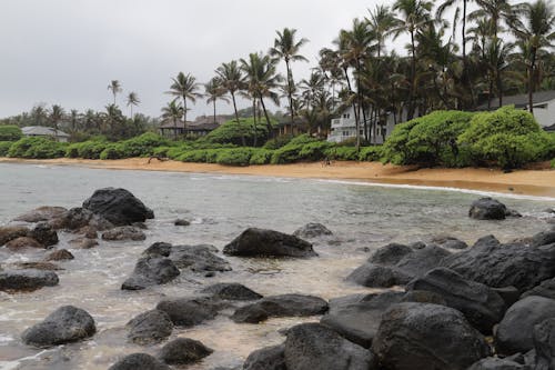 Free stock photo of hawaii, hawaiian island, kaui