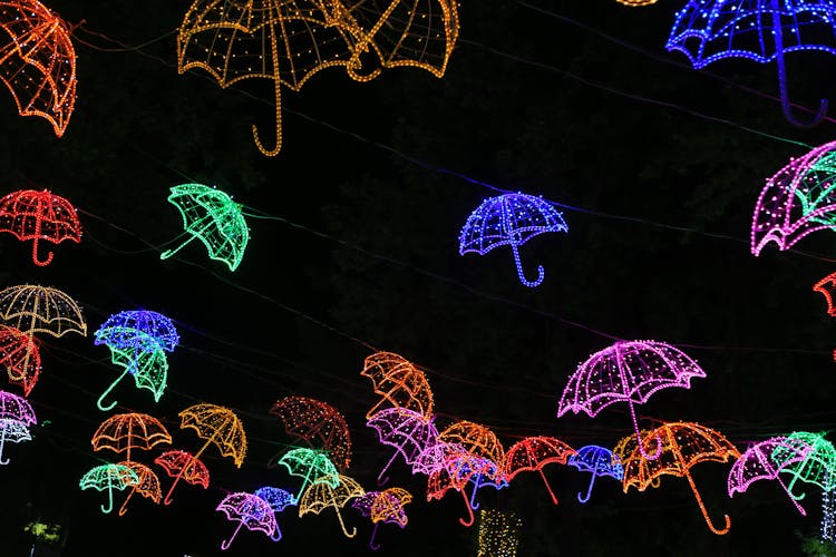 Photo Of Neon Light Umbrellas