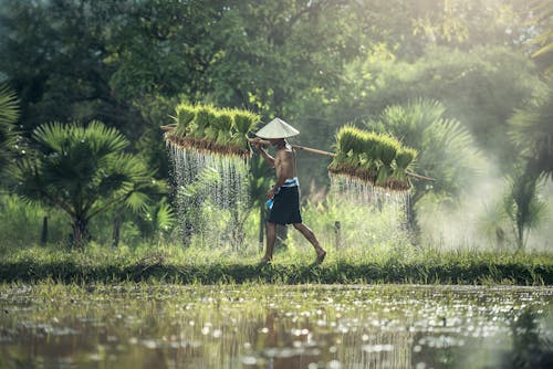 Chiều Dài đầy đủ Của Con Người Trên Mặt Nước